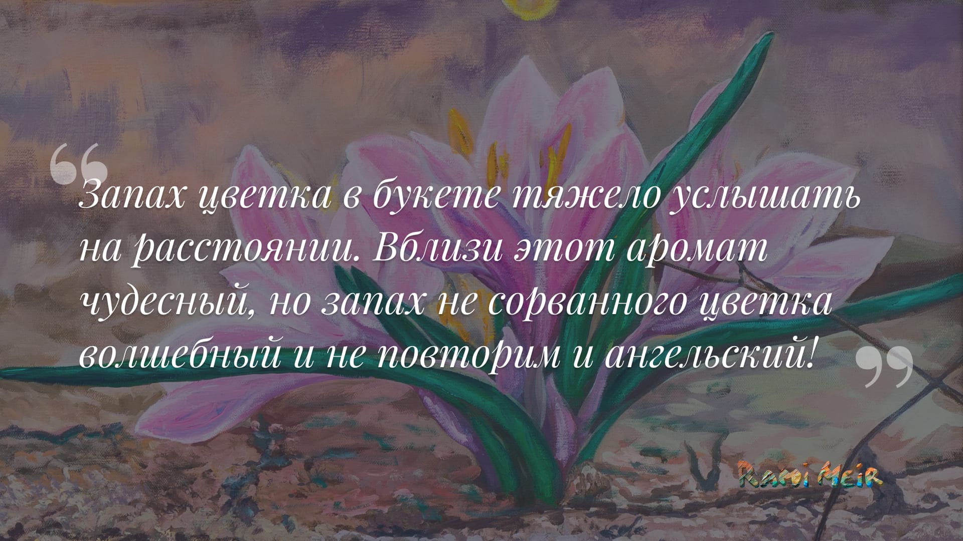 Афоризм Рами Меир